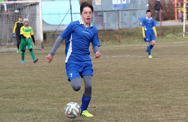 绿色发展的 绿色发展的