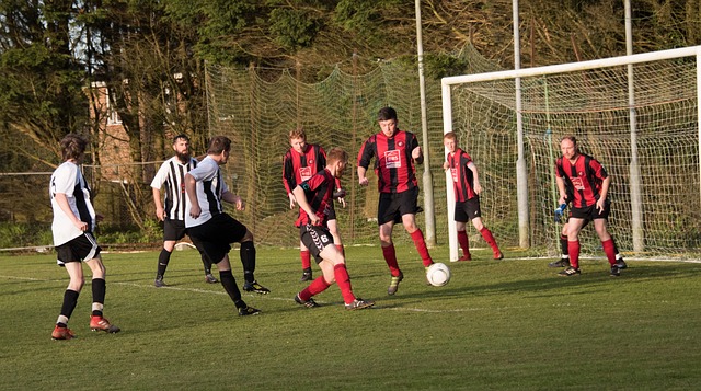 全球共享绿 全球共享绿