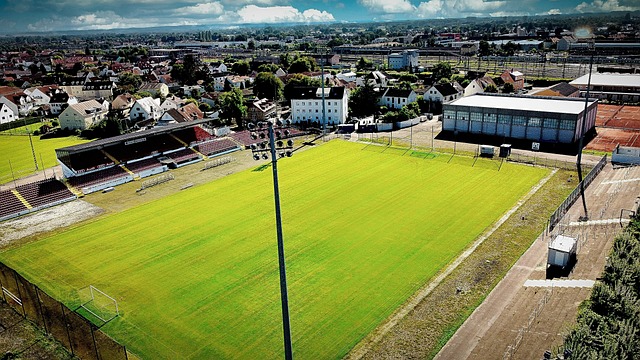 到防守专家 到防守专家