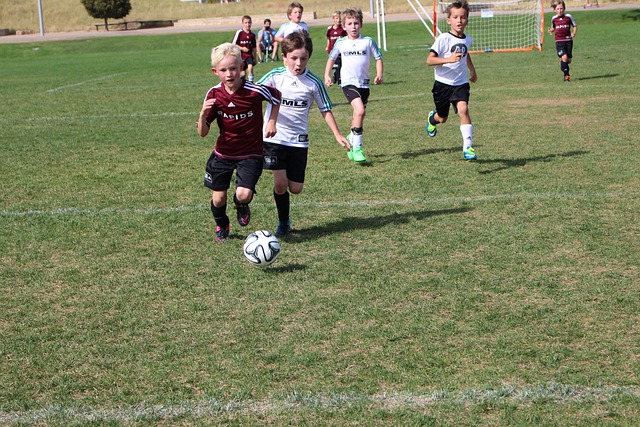 体表现的重 体表现的重