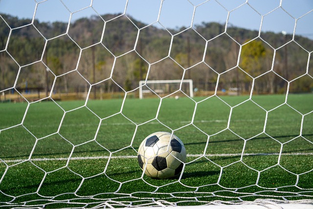 的排名而努 的排名而努